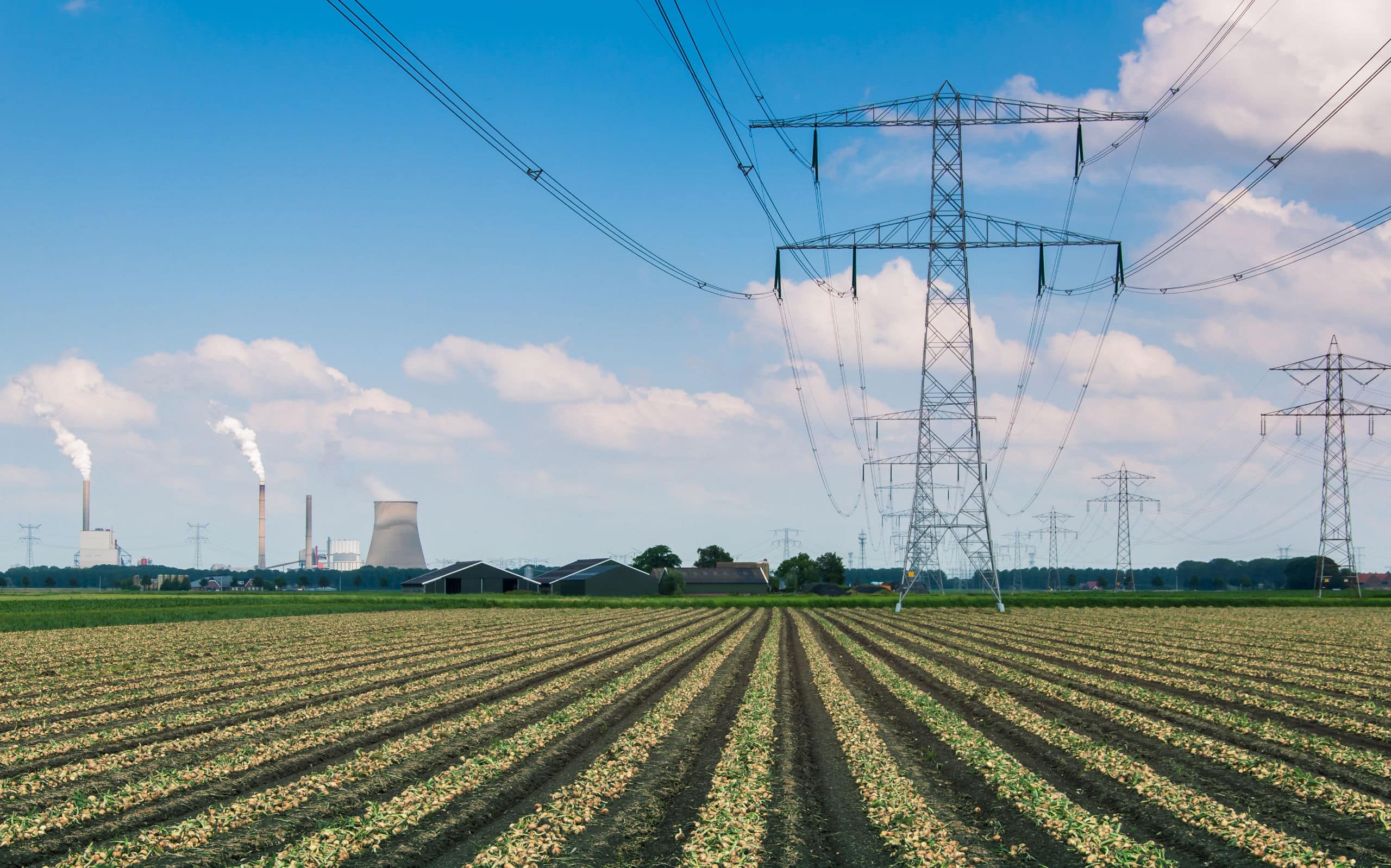 Specification and design criteria for local flexibility markets