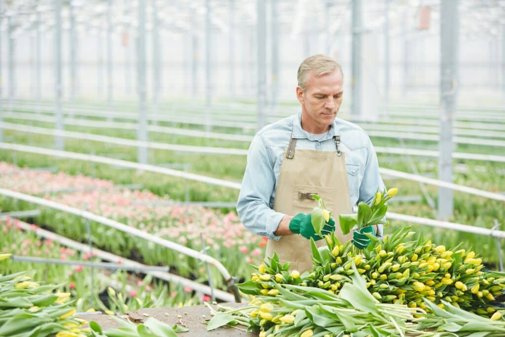 deelnemen congestiemanagement als tuinder
