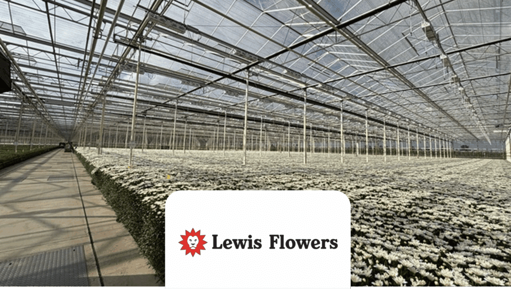 Lewis Flowers