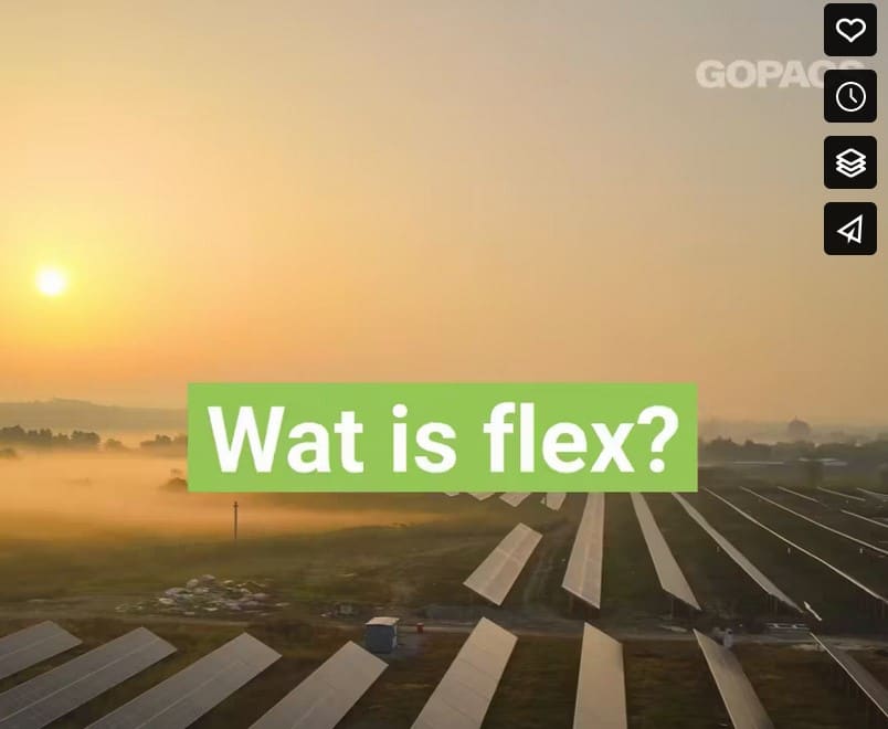 wat is flex?